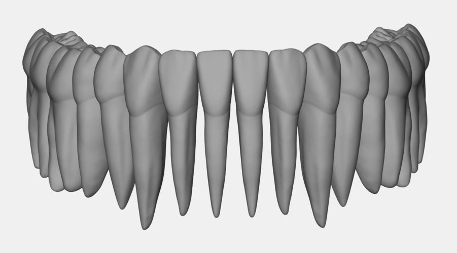 Azure lower jaw dental anatomy with roots 3D Print 377142