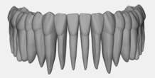 Image 377142