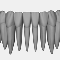 Small Azure lower jaw dental anatomy with roots 3D Printing 377142