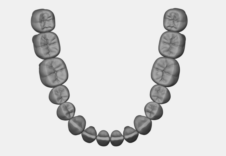 Azure lower jaw dental anatomy with roots 3D Print 377143