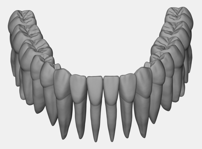 Azure lower jaw dental anatomy with roots 3D Print 377144