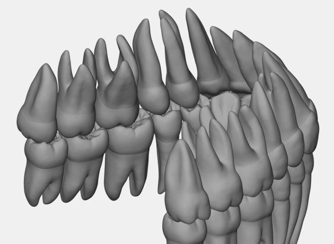 Azure upper jaw dental anatomy with roots 3D Print 377152