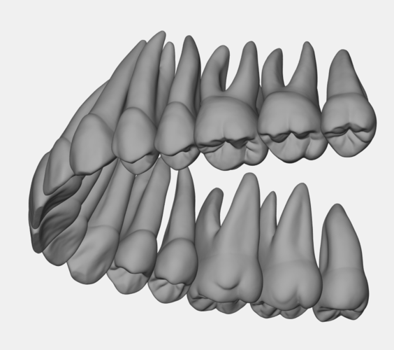 Azure upper jaw dental anatomy with roots 3D Print 377153