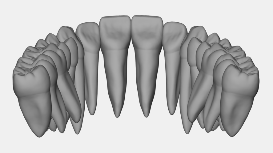 Azure upper jaw dental anatomy with roots 3D Print 377154