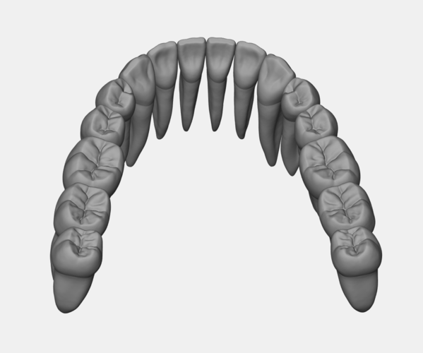 Azure upper jaw dental anatomy with roots 3D Print 377156