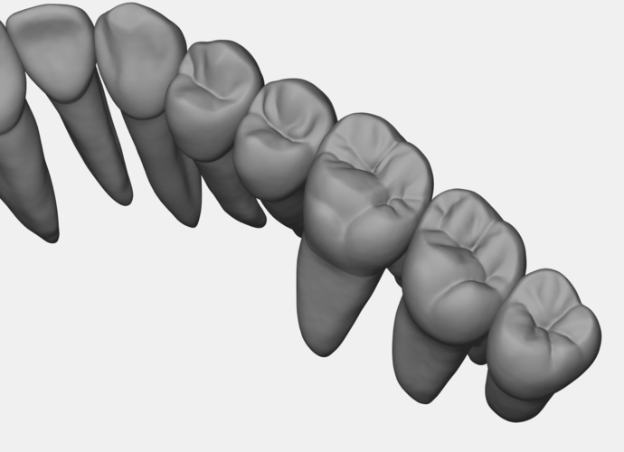 Azure upper jaw dental anatomy with roots 3D Print 377157
