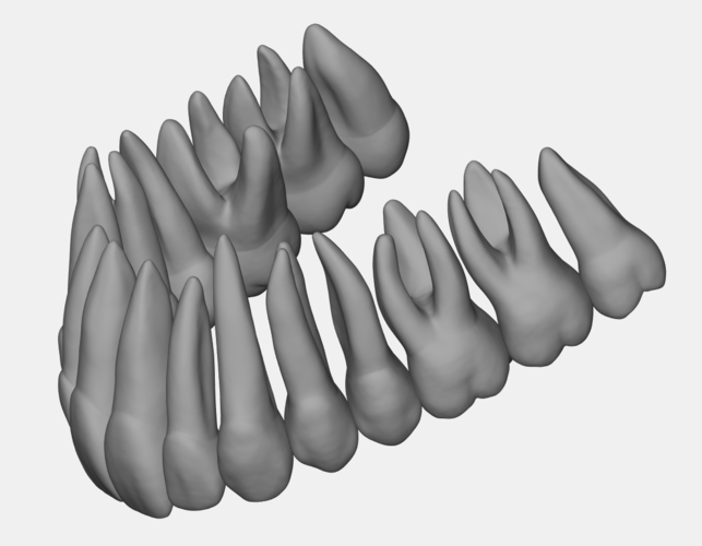 Azure upper jaw dental anatomy with roots 3D Print 377158