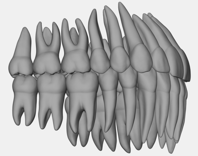 Azure upper jaw dental anatomy with roots 3D Print 377164