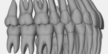 Image 377164