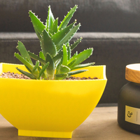 Japanese Inspired Planter - Thumbnail 2