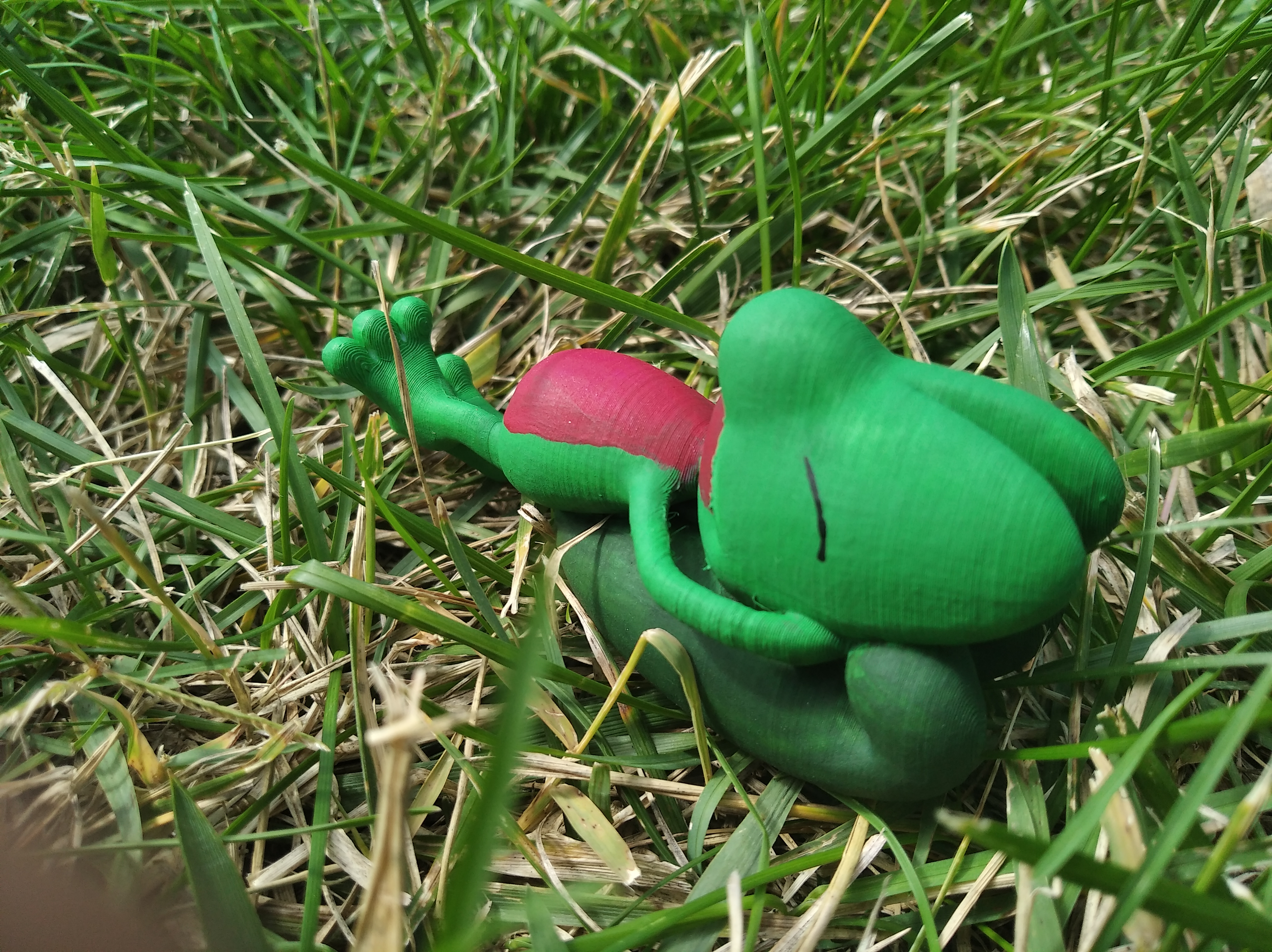 POKEMON TREECKO DORMIDO 3D Print 377872