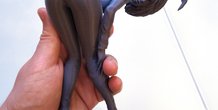 Image 377901