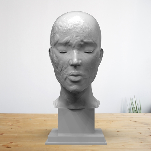 creative portrait 2 3D Print 377955