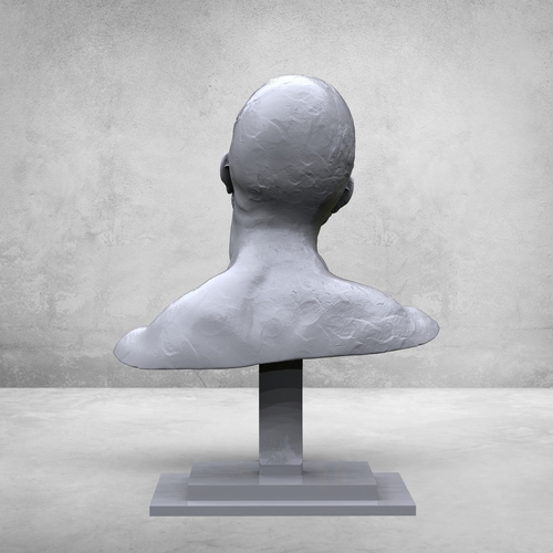 creative portrait  3D Print 377964