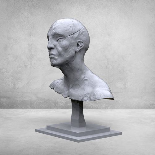 3D Printed creative portrait by kx_sculptor | Pinshape