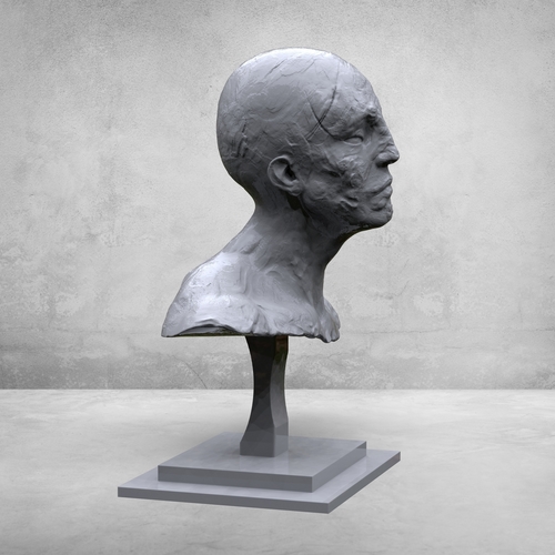 creative portrait  3D Print 377968