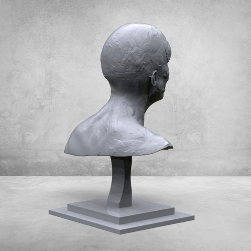 creative portrait  3D Print 377969