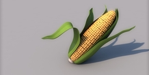 Image 378427
