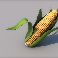 Small Corn 3D Printing 378427