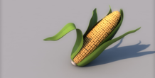 Image 378428