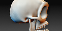 Image 378590