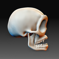 Skull 02 - Thumbnail 4