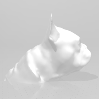  French bulldog bust - Thumbnail 4