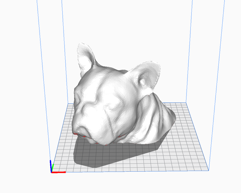  French bulldog bust