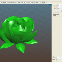 Rose flower - Thumbnail 1