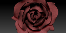 Image 379148