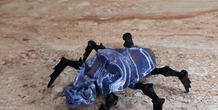 Image 379496