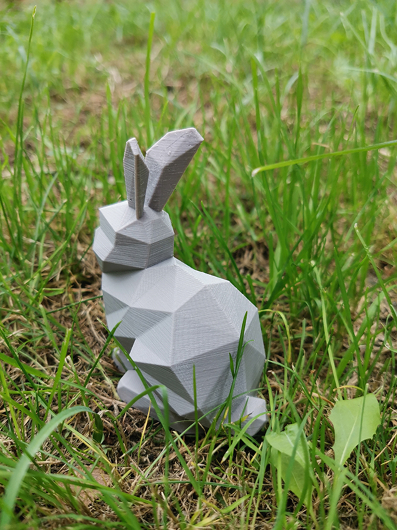 Low poly rabbit - Pinshape