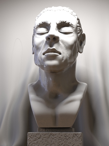 Peaceful portrait sculpture 3D Print 379684