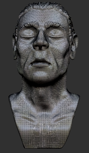 Peaceful portrait sculpture 3D Print 379686