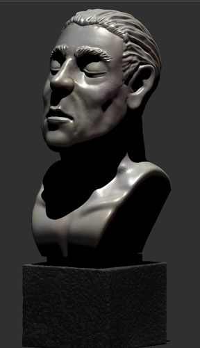 Peaceful portrait sculpture 3D Print 379688
