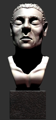 Peaceful portrait sculpture 3D Print 379692