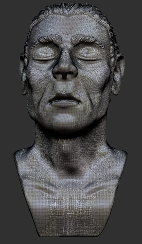 Peaceful portrait sculpture 3D Print 379693