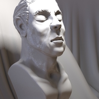 Peaceful portrait sculpture - Thumbnail 7