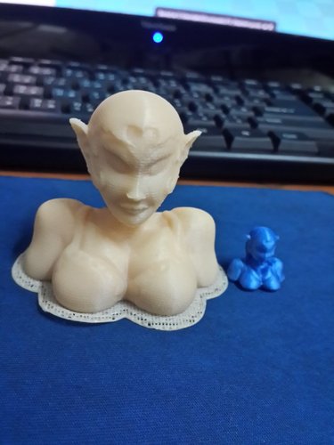 Elf girl 3D Print 38013