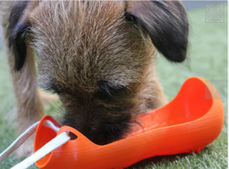 3Dprinter Dog water bottle(강아지 휴대용물통)