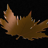 plane tree leaf - Thumbnail 1