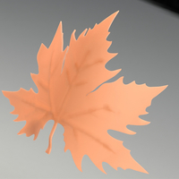 plane tree leaf - Thumbnail 2