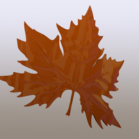 plane tree leaf - Thumbnail 4