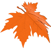 plane tree leaf - Thumbnail 5