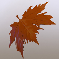 plane tree leaf - Thumbnail 6