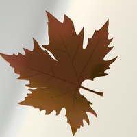 plane tree leaf - Thumbnail 7