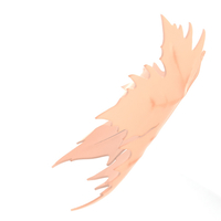 plane tree leaf - Thumbnail 9