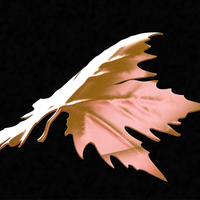 plane tree leaf - Thumbnail 10