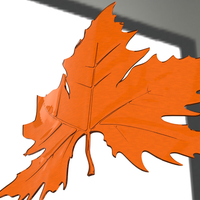 plane tree leaf - Thumbnail 12