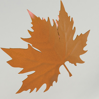 plane tree leaf - Thumbnail 13